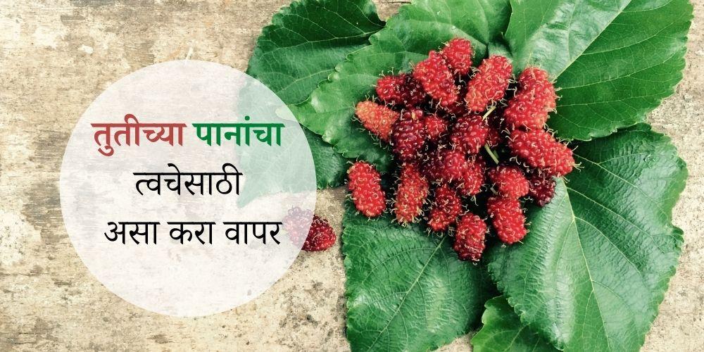 Benefits Of The Mulberry Leaf On Skin