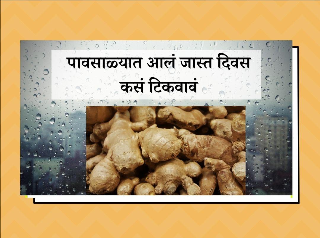 How to store wet and fresh ginger in rainy season in Marathi