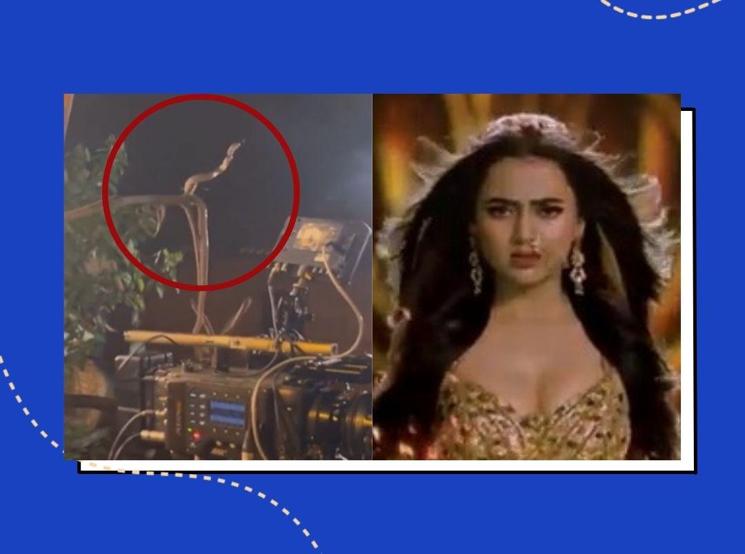 real-snake-found-by-crew-member-on-sets-of-tejasswi-prakash-show-naagin-6-in-marathi