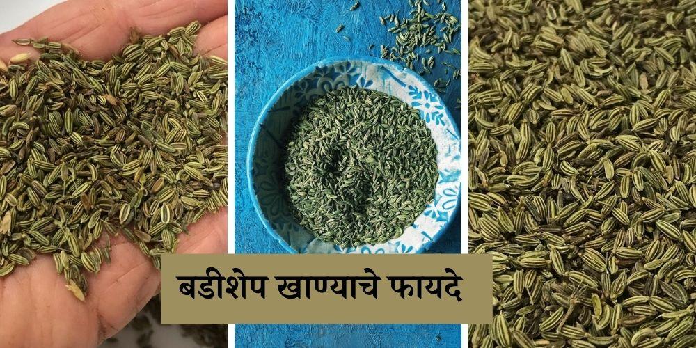 बडीशेप खाण्याचे फायदे आणि तोटे  (Fennel Seeds In Marathi)