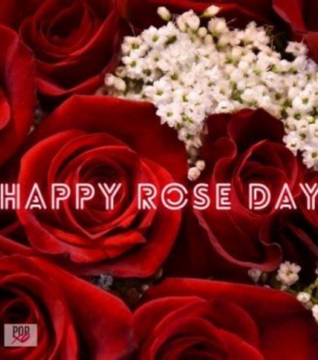 Rose Day Quotes In Marathi