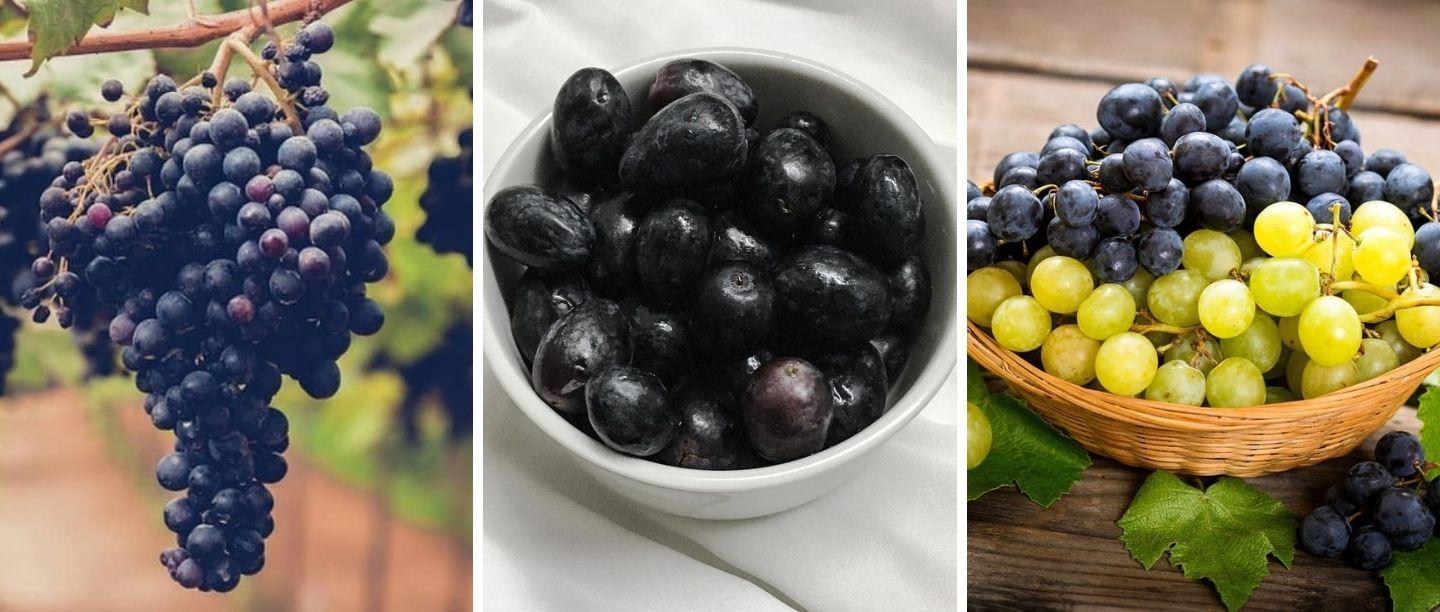 Black Grapes Benefits In Marathi