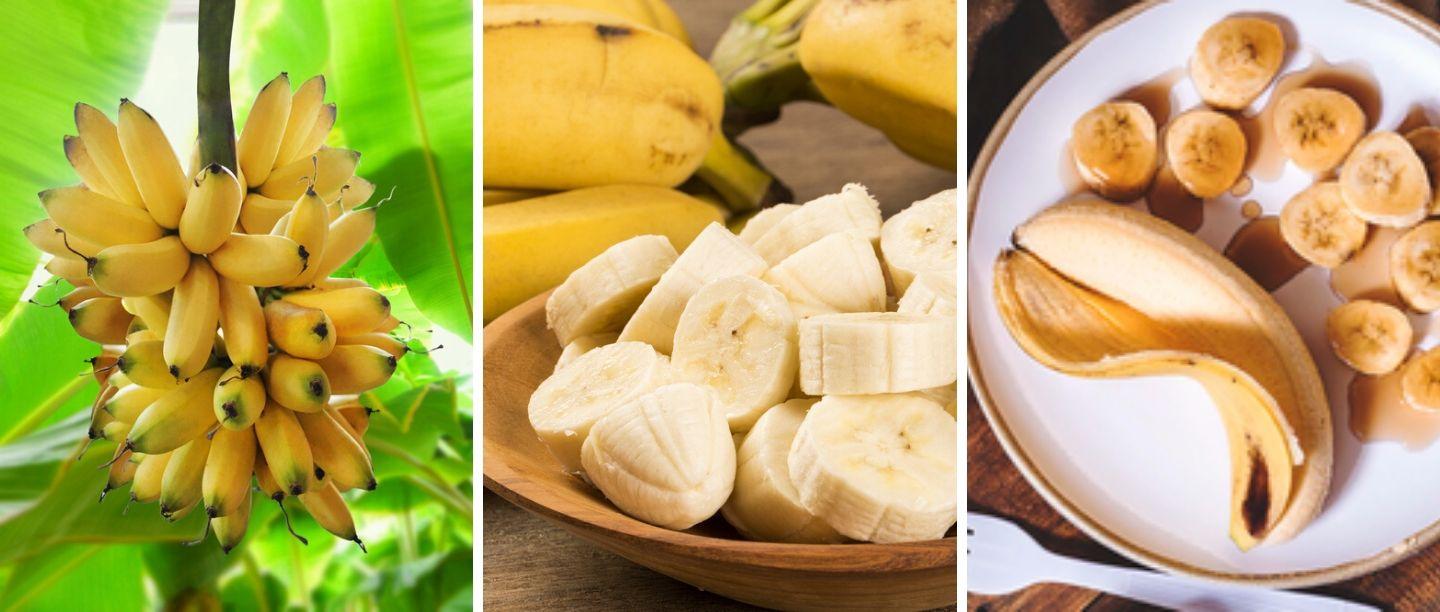 Banana Benefits In Marathi