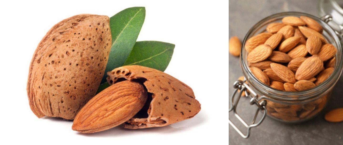 Almond Benefits In Marathi