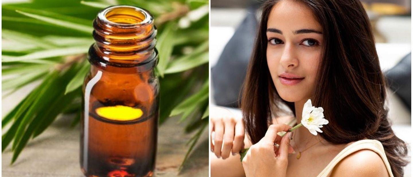 एथलीट फूटवर जाणून घ्या टी ट्री ऑईलच्या वापराचे फायदे (Benefits Of Tea Tree Oil In Marathi)