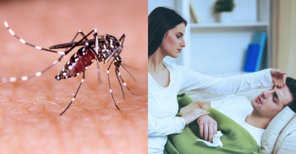 Symptoms Of Dengue In Marathi | डेंग्यूची लक्षणे आणि डेंगू वर उपाय मराठी जाणून घ्या
