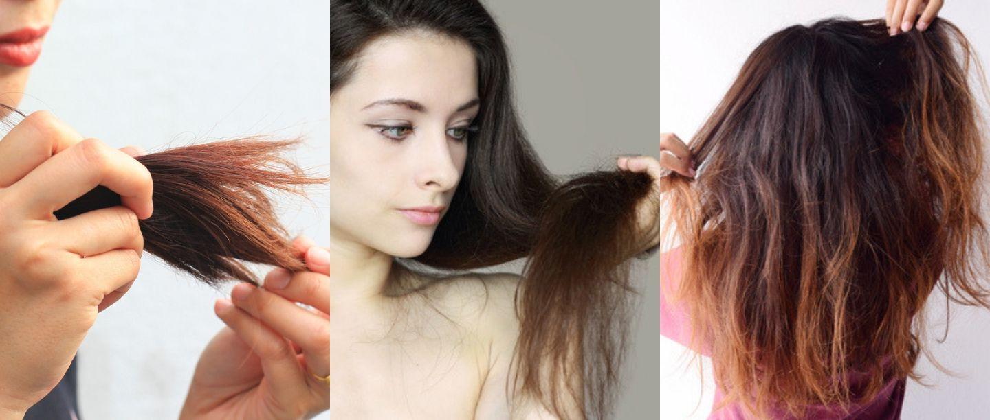 तुमचेही केस कोरडे आहेत का? मग हे शॅम्पू तुमच्यासाठी आहेत बेस्ट (Shampoo For Dry Hair)