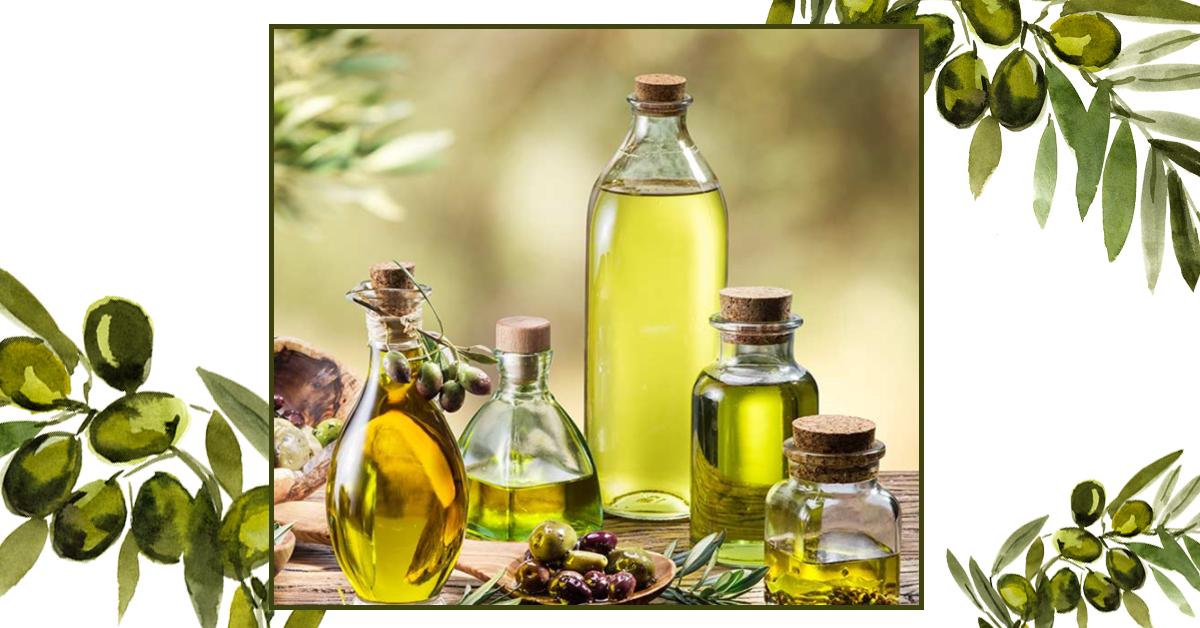 Olive Oil Benefits In Marathi