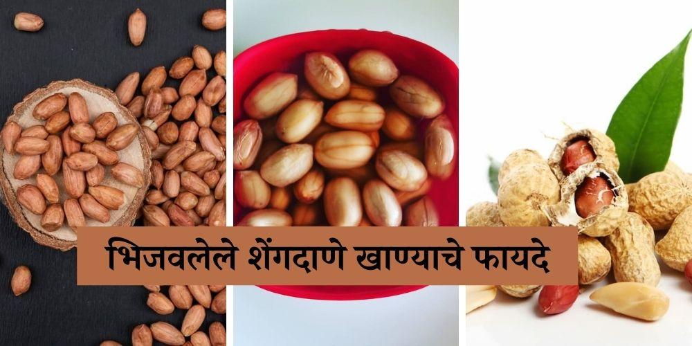 Benefits of Soaked Peanuts in Marathi