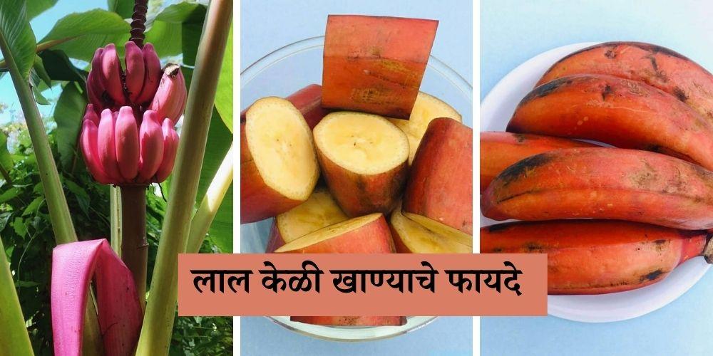 health benefits of red Banana in Marathi